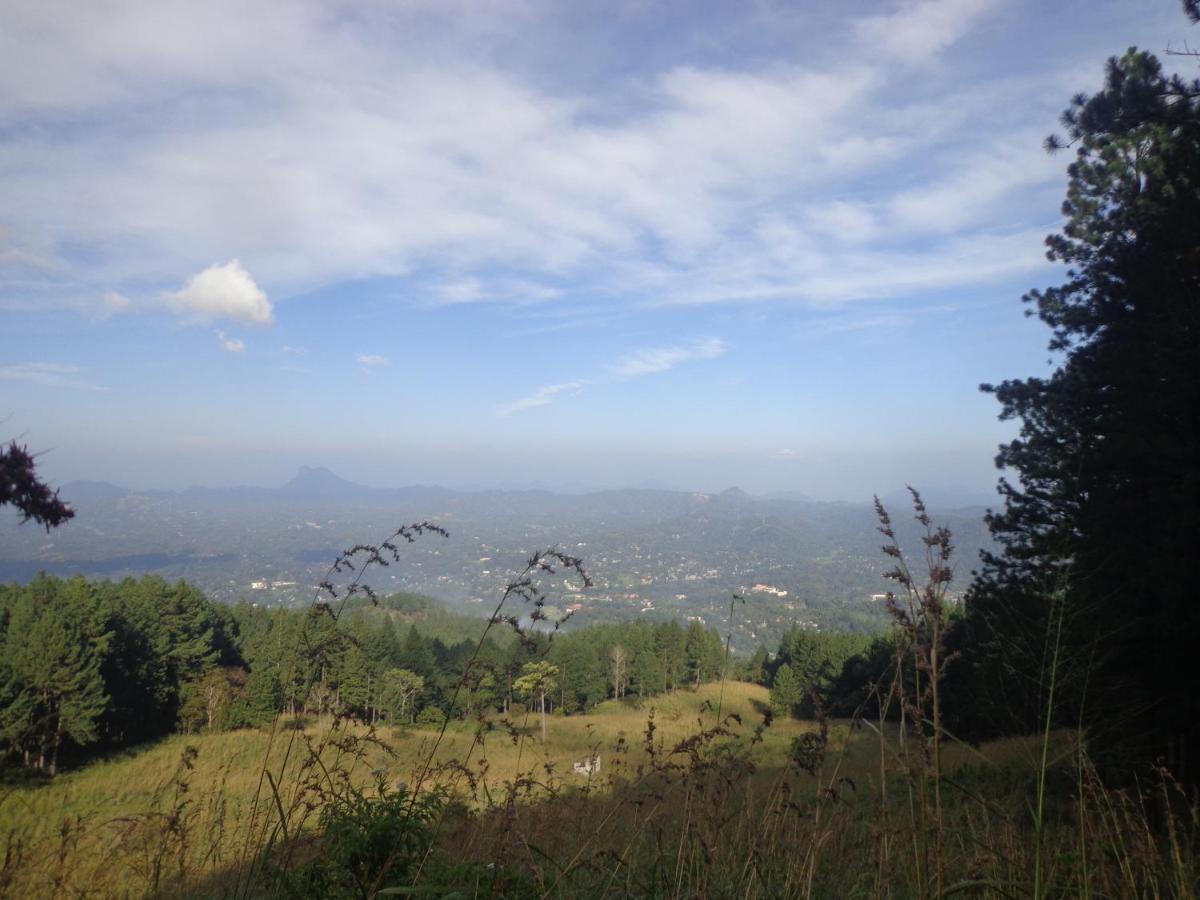 Nisha Homestay Inn Peradeniya Extérieur photo